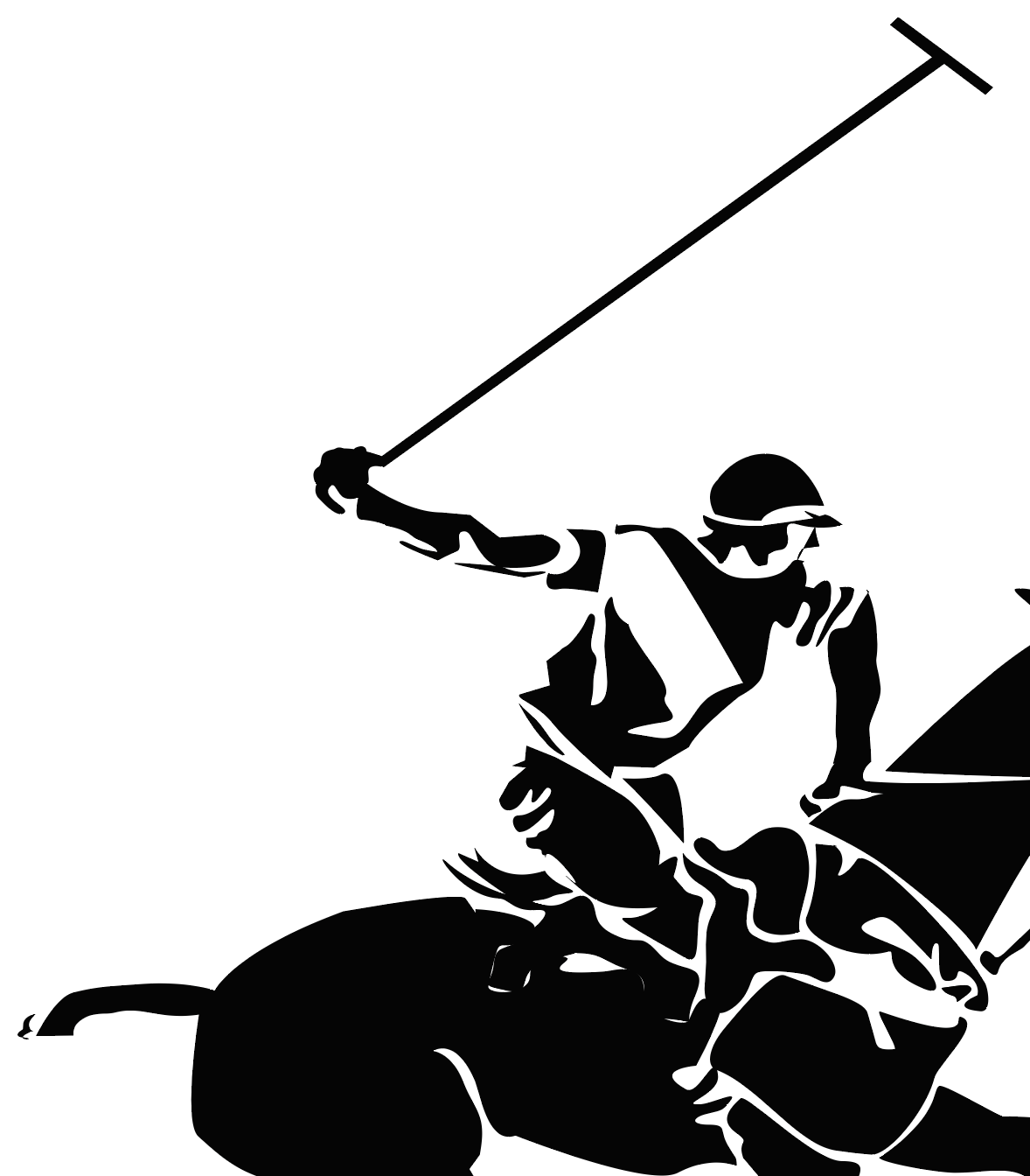 Beverly Hills Polo Club Logo